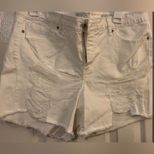 Sofia Vergara white denim shorts. NWOT